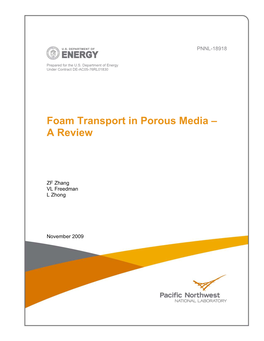 Foam Transport in Porous Media – a Review