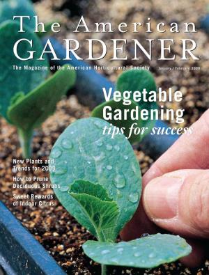 Vegetable Gardening Vegetable Gardening