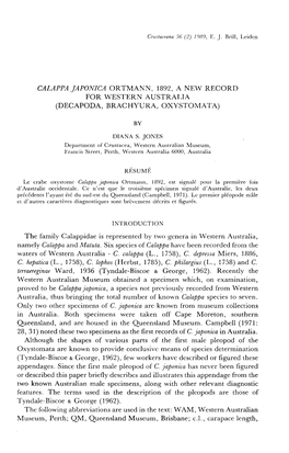 Calappa Japonica Ortmann, 1892, a New Record for Western Australia (Decapoda, Brachyura, Oxystomata)