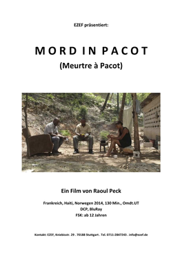 Presseinformation Mord in Pacot