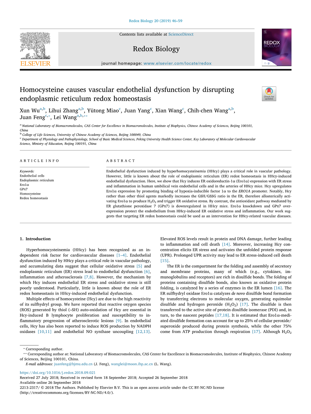 Homocysteine Causes Vascular Endothelial Dysfunction by Disrupting Endoplasmic Reticulum Redox Homeostasis T