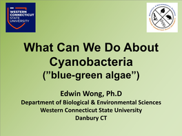 What Can We Do About Cyanobacteria (”Blue-Green Algae”)