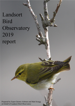 Yellow-Browed Warbler Project