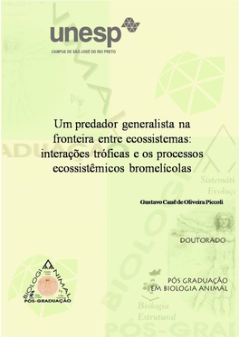 Um Predador Generalista Na Fronteira Entre Ecossistemas: Interações Tróficas E Os Processos Ecossitêmicos Bromelícolas”