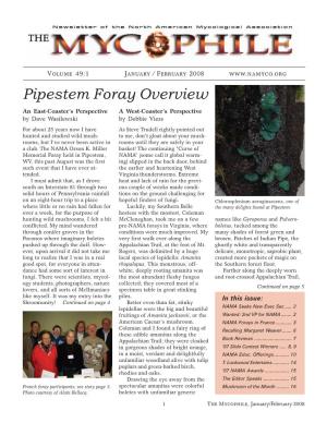 Pipestem Foray Overview