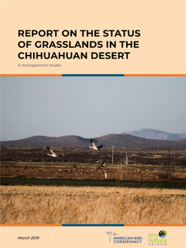 REPORT on the STATUS of GRASSLANDS in the CHIHUAHUAN DESERT a Management Model