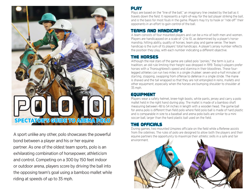 Spectator's Guide to Arena Polo