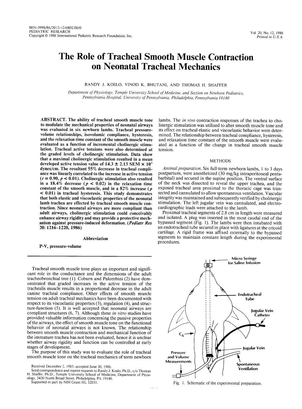 The Role of Tracheal Smooth Muscle Contraction on Neonatal Tracheal Mechanics