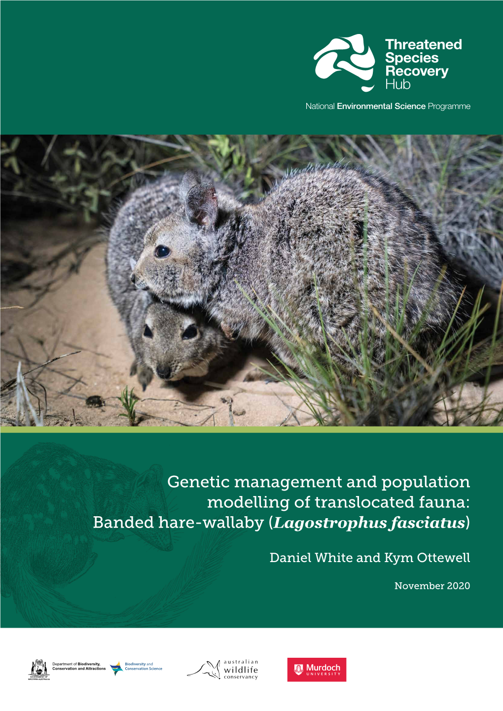 Genetic Management and Population Modelling of Translocated Fauna: Banded Hare-Wallaby (Lagostrophus Fasciatus)