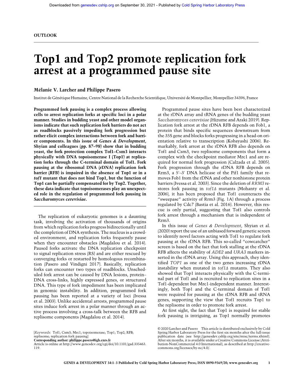 Top1 and Top2 Promote Replication Fork Arrest at a Programmed Pause Site