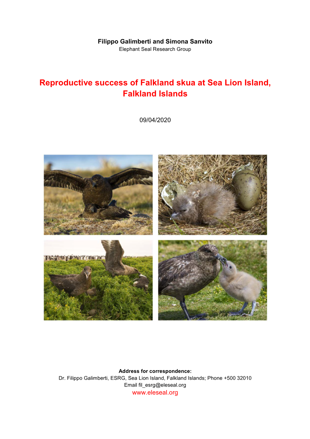 Reproductive Success of Falkland Skua at Sea Lion Island, Falkland Islands