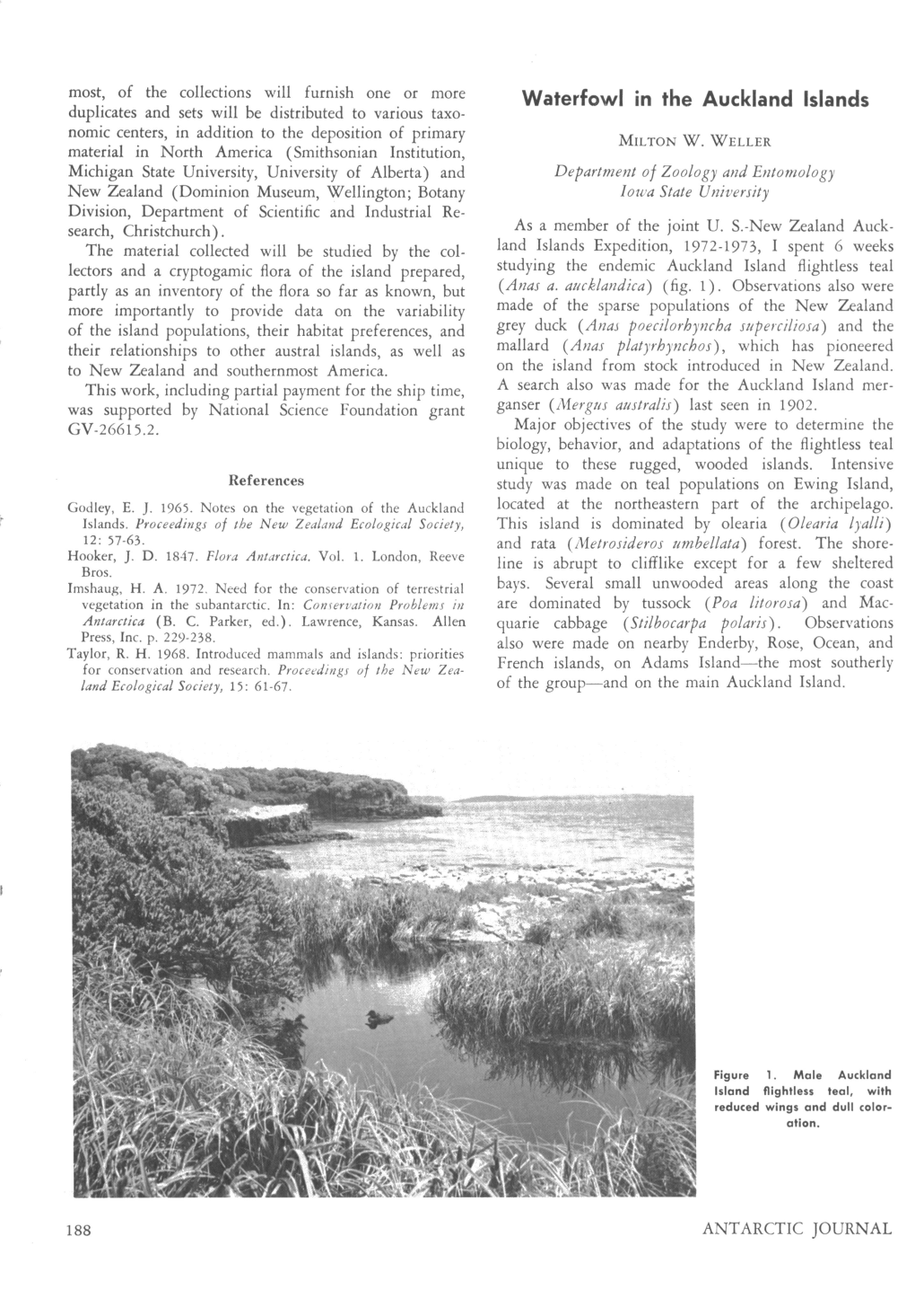 Waterfowl in the Auckland Islands Duplicates and Sets Will Be Distributed to Various Taxo- Nomic Centers, in Addition to the Deposition of Primary MILTON W