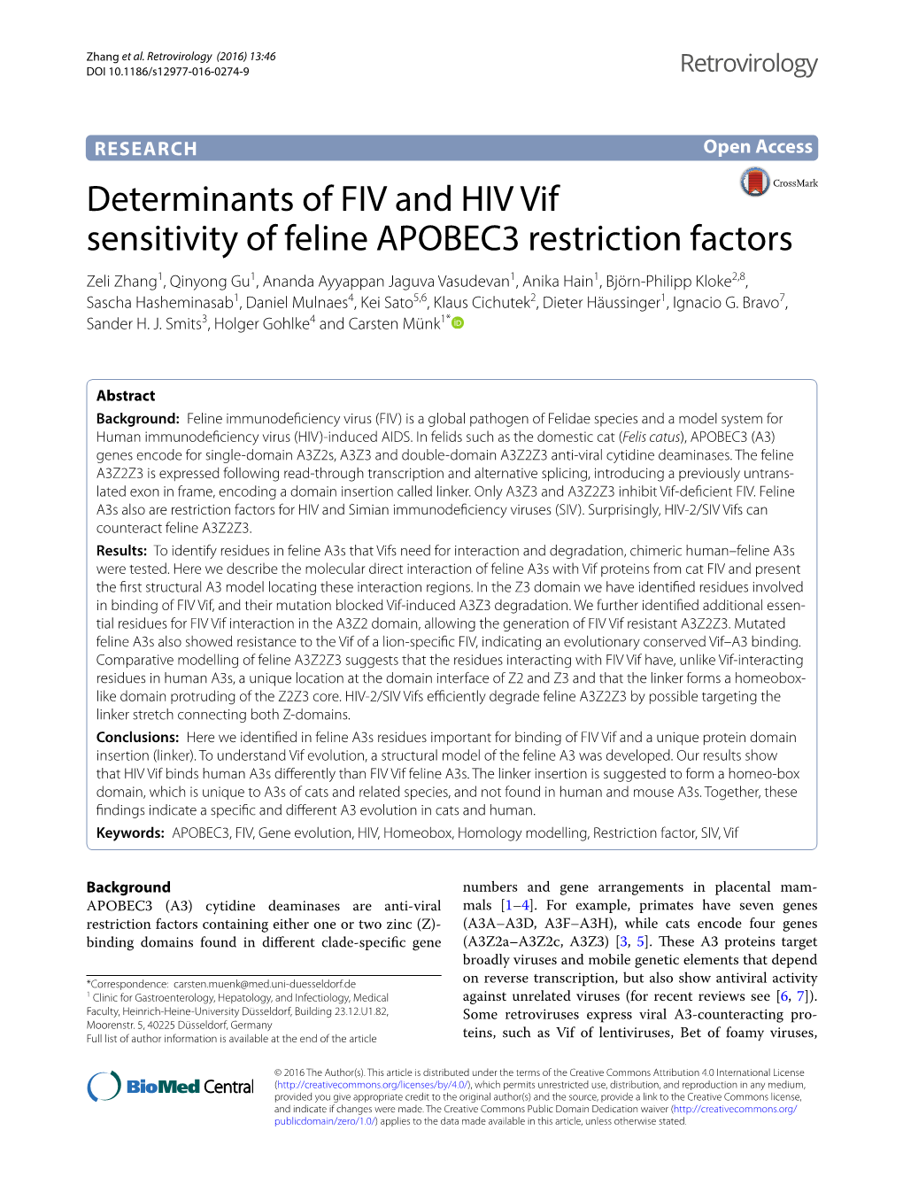 Determinants of FIV and HIV Vif Sensitivity of Feline APOBEC3