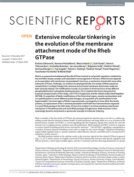 Extensive Molecular Tinkering in the Evolution of the Membrane Attachment Mode of the Rheb Gtpase