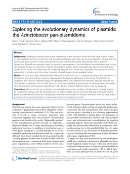 Exploring the Evolutionary Dynamics of Plasmids: the Acinetobacter Pan