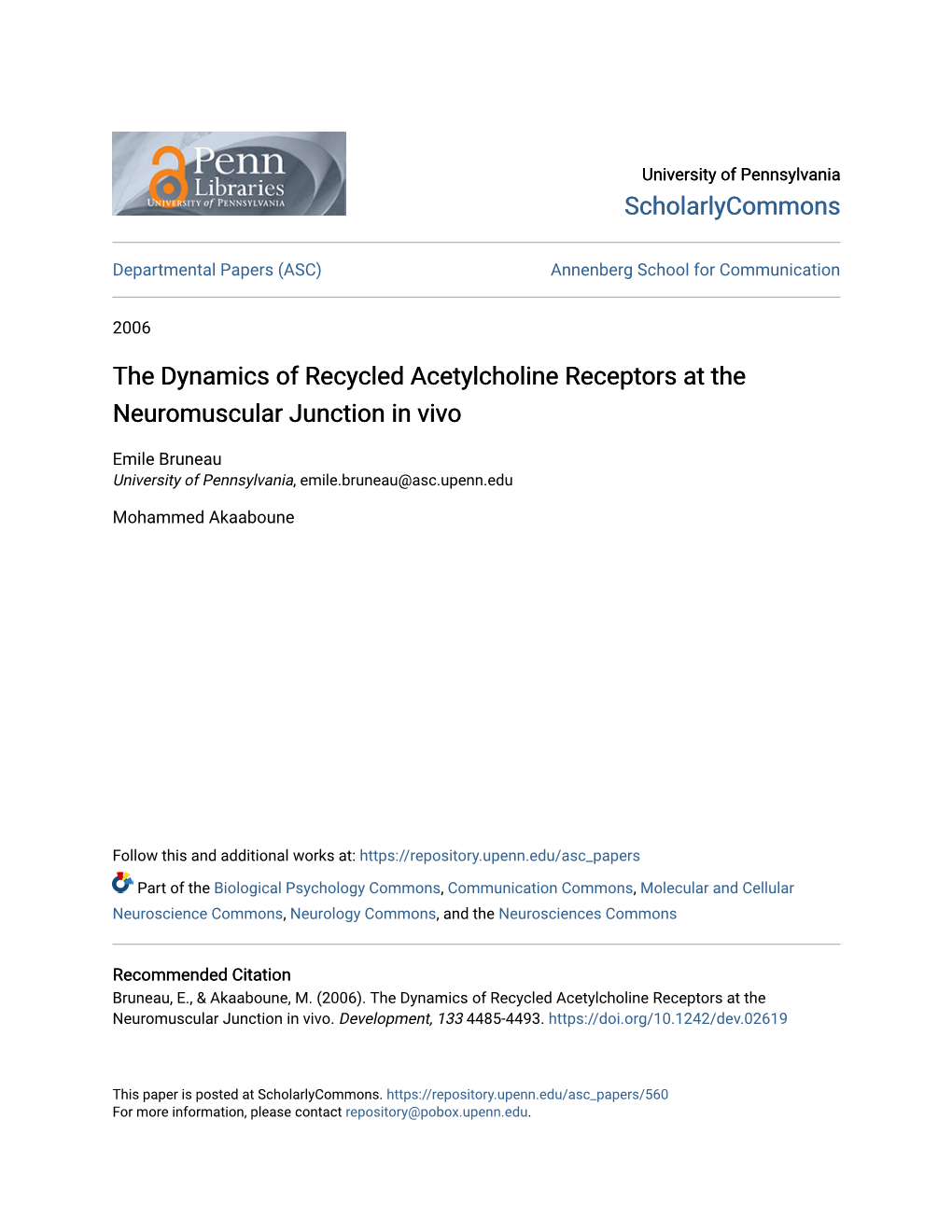 The Dynamics of Recycled Acetylcholine Receptors at the Neuromuscular Junction in Vivo