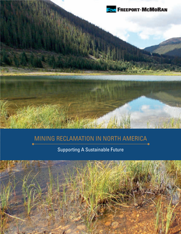 Mining Reclamation in North America