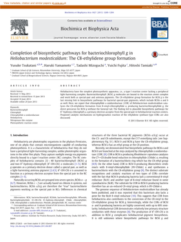 Completion of Biosynthetic Pathways for Bacteriochlorophyll G in Heliobacterium Modesticaldum: the C8-Ethylidene Group Formation