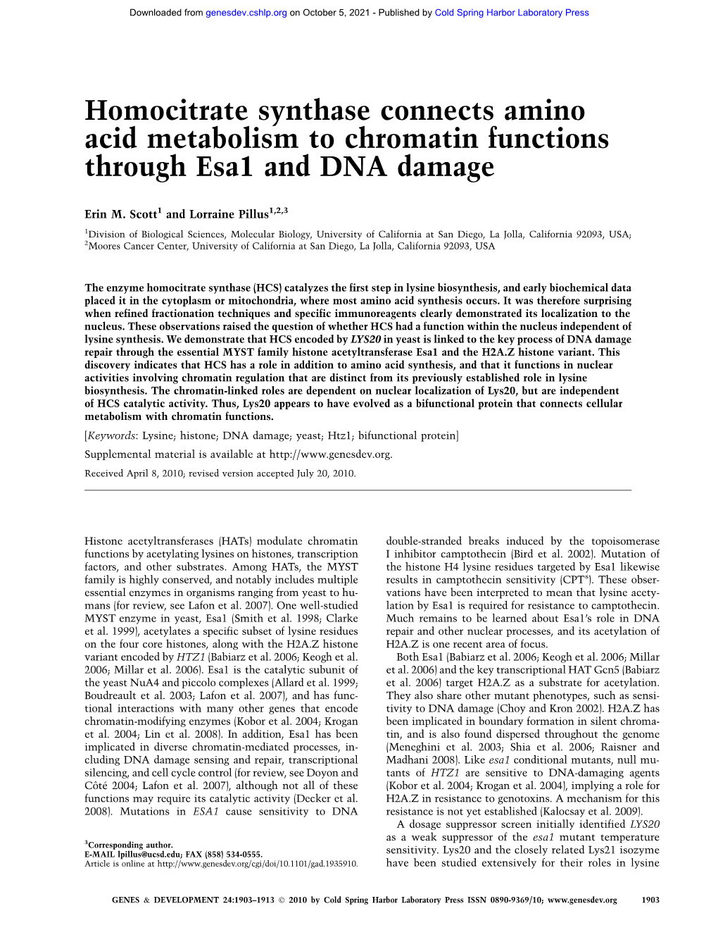 Homocitrate Synthase Connects Amino Acid Metabolism to Chromatin Functions Through Esa1 and DNA Damage