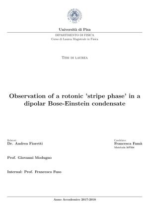 'Stripe Phase' in a Dipolar Bose-Einstein Condensate