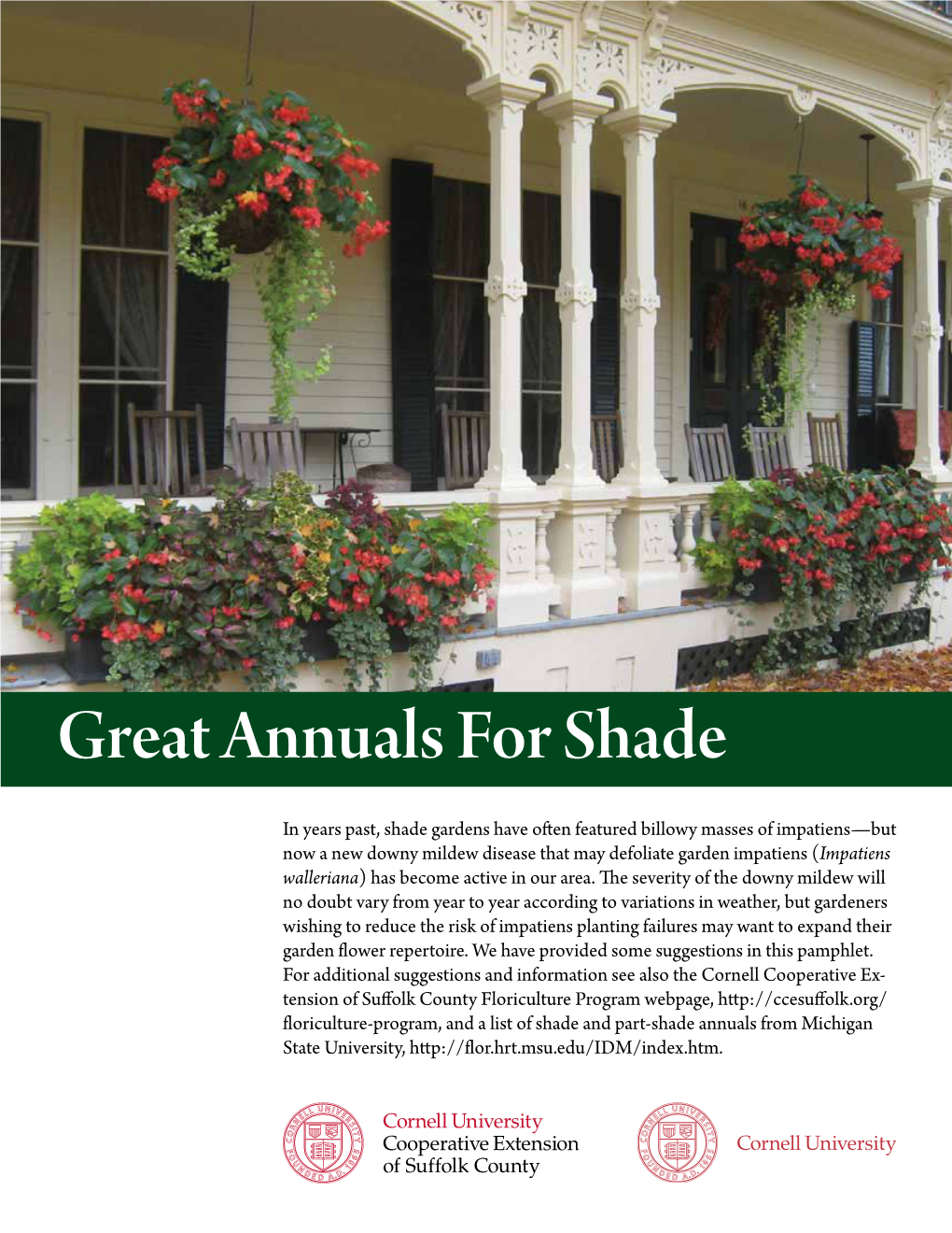 Great Annuals for Shade