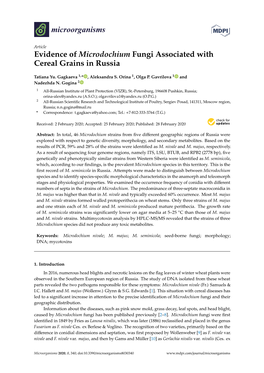Evidence of Microdochium Fungi Associated with Cereal Grains in Russia