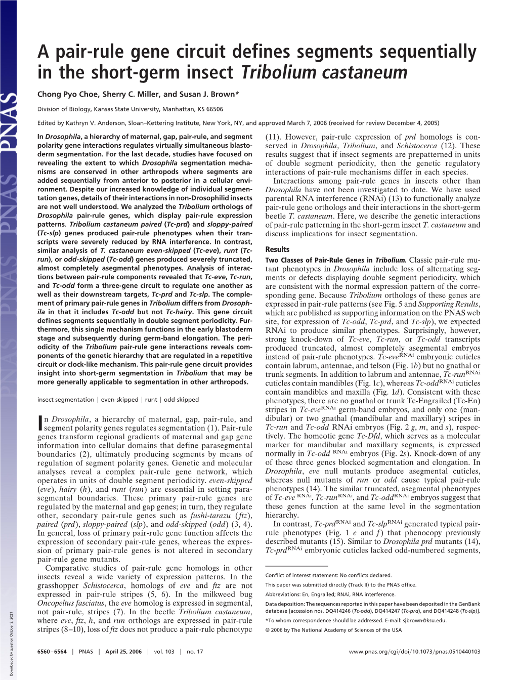 A Pair-Rule Gene Circuit Defines Segments Sequentially in the Short-Germ Insect Tribolium Castaneum