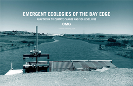 Emergent Ecologies of the Bay Edge Adaptation to Climate Change and Sea Level Rise