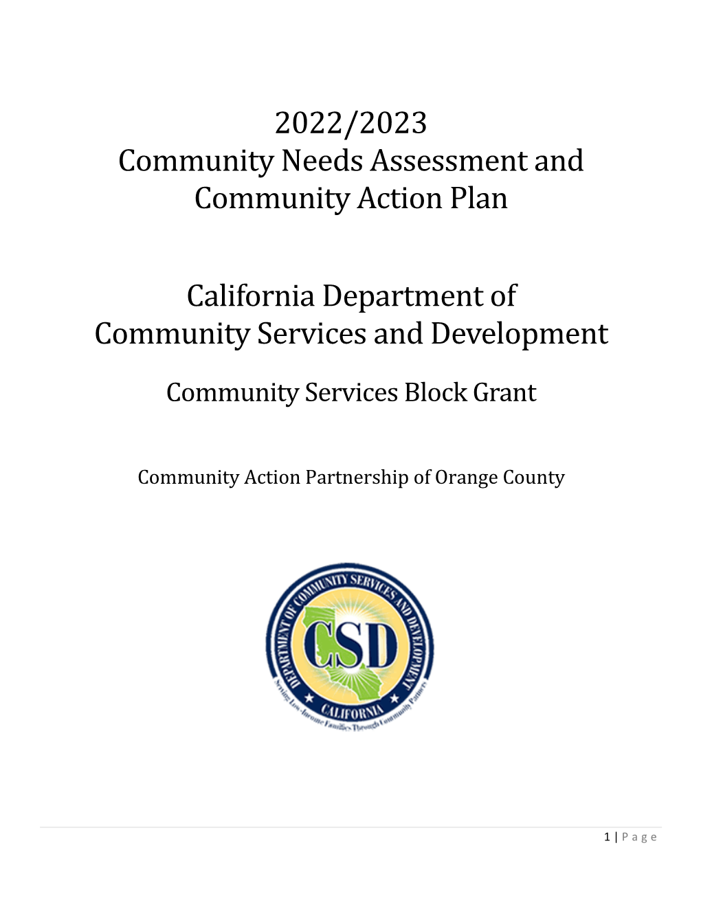 2022-2022 Community Action Plan