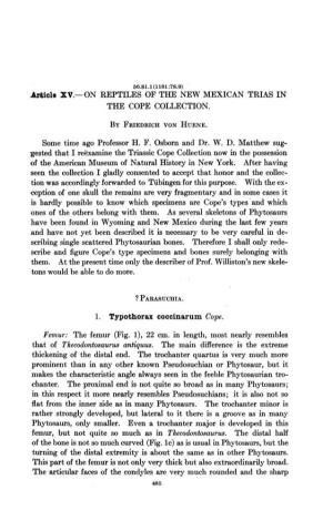 THE COPE COLLECTION. Gested That I Reexamine the Triassic