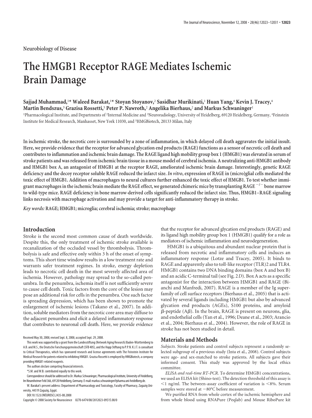 The HMGB1 Receptor RAGE Mediates Ischemic Brain Damage