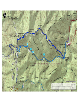 Shining Rock and Grassy Cove Top Hike