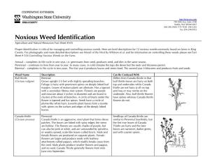 Noxious Weed Identification Agriculture and Natural Resources Fact Sheet #535