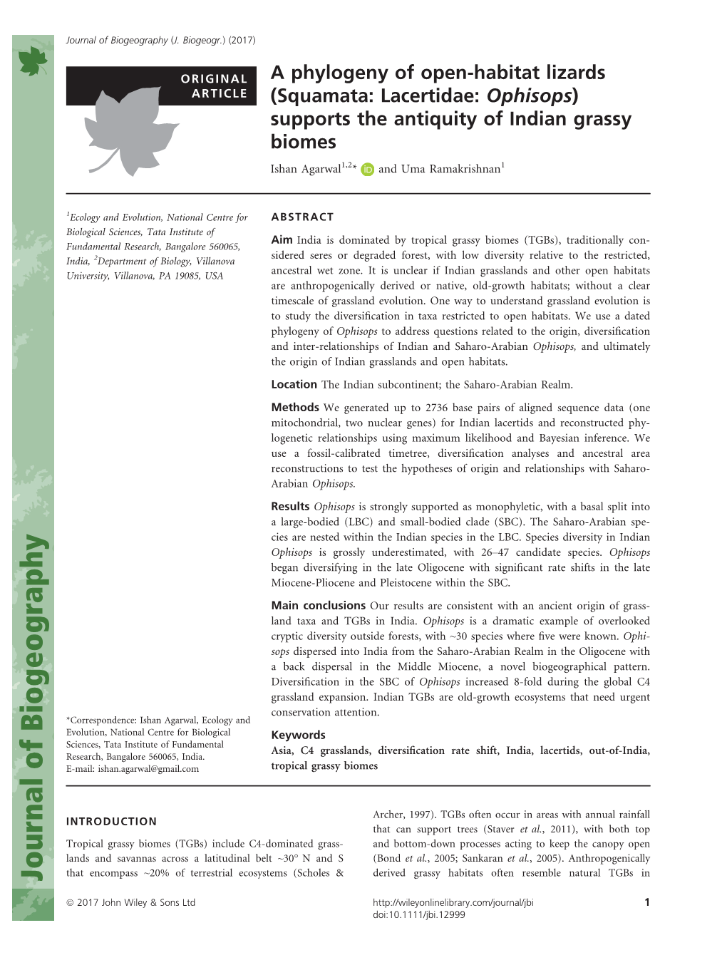 A Phylogeny of Open‐