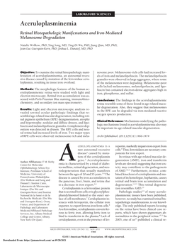 Retinal Histopathologic Manifestations and Iron-Mediated Melanosome Degradation
