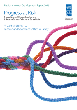 The CASE STUDY on Income and Social Inequalities in Turkey Inequalities in Turkey: an Overview