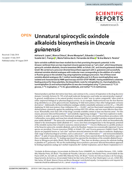 Unnatural Spirocyclic Oxindole Alkaloids Biosynthesis in Uncaria Guianensis Received: 2 July 2018 Adriana A