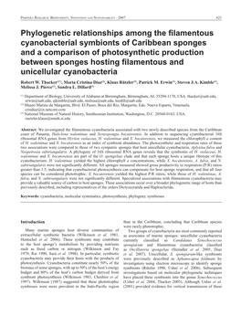 Phylogenetic Relationships Among the Filamentous Cyanobacterial Symbionts of Caribbean Sponges and a Comparison of Photosyntheti