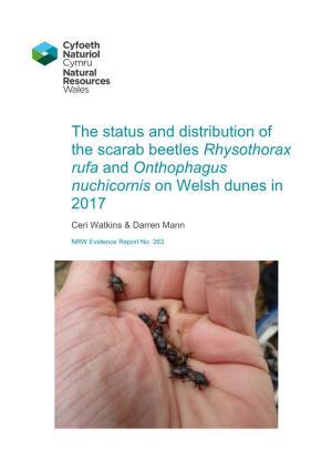 The Status and Distribution of the Scarab Beetles Rhysothorax Rufa and Onthophagus Nuchicornis on Welsh Dunes In