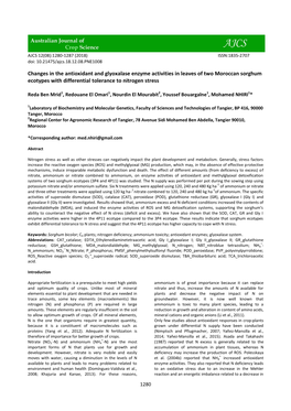 Changes in the Antioxidant and Glyoxalase Enzyme Activities in Leaves of Two Moroccan Sorghum Ecotypes with Differential Tolerance to Nitrogen Stress