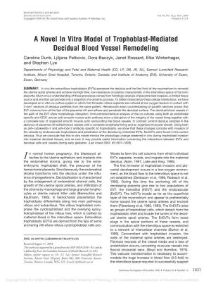 A Novel in Vitro Model of Trophoblast-Mediated Decidual
