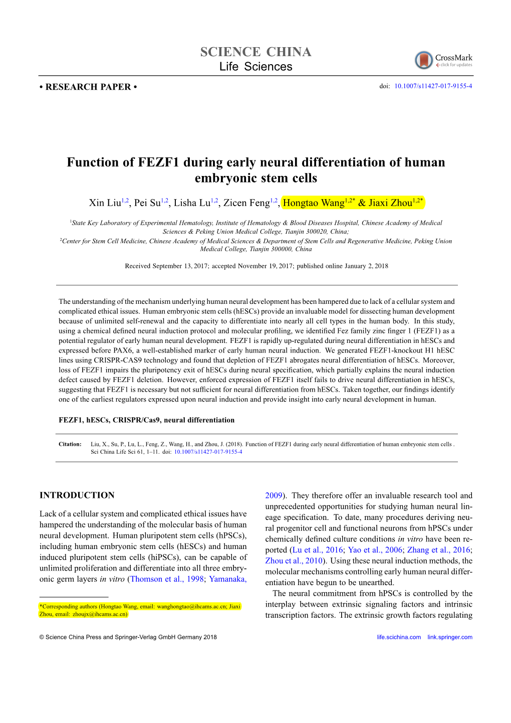 SCIENCE CHINA Function of FEZF1 During Early Neural Differentiation Of