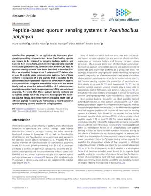 Peptide-Based Quorum Sensing Systems in Paenibacillus Polymyxa