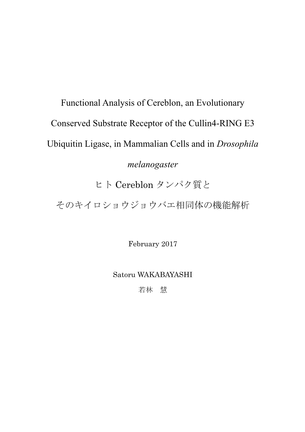 Functional Analysis of Cereblon, an Evolutionary Conserved Substrate Receptor of the Cullin4-RING E3 Ubiquitin Ligase, in Mammal