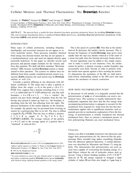 1 / C\% Cellular Motions and Thermal Fluctuations: the Brownian Ratchet