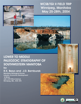 Lower to Middle Paleozoic Stratigraphy of Southwestern Manitoba