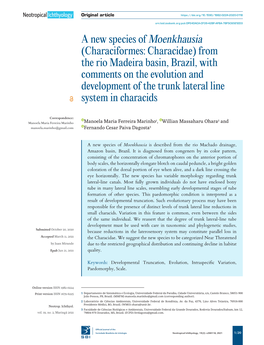 A New Species of Moenkhausia (Characiformes: Characidae)