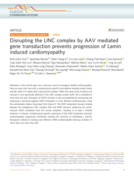 Disrupting the LINC Complex by AAV Mediated Gene Transduction Prevents Progression of Lamin Induced Cardiomyopathy