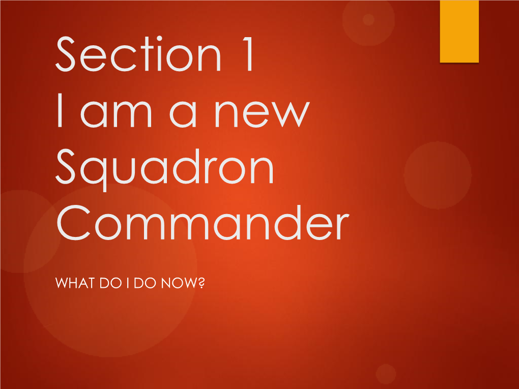 I Am a New Squadron Commander-What Do I Do Now?