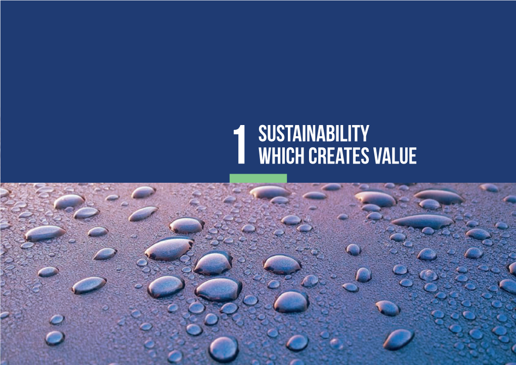 1Sustainability Which Creates Value